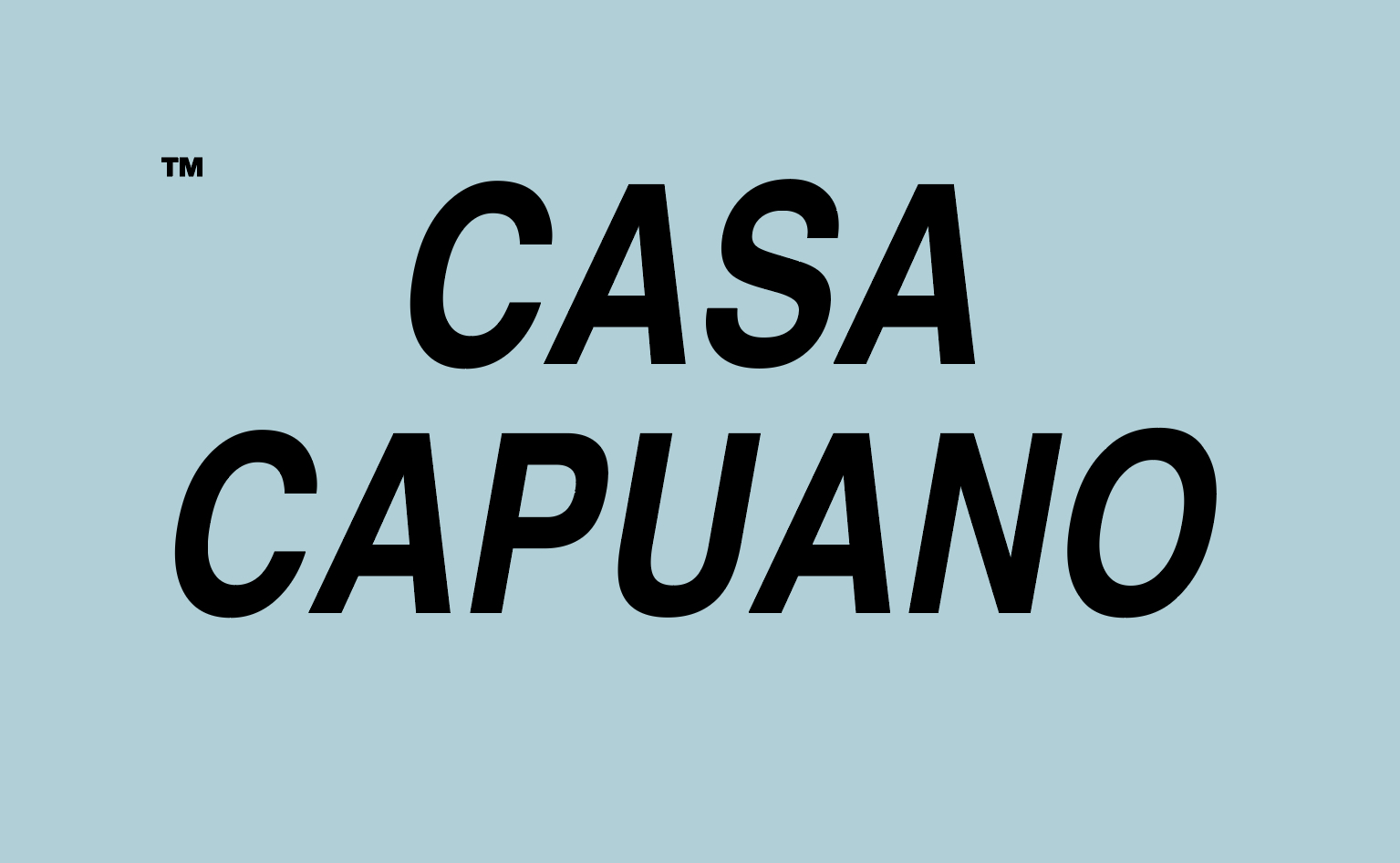 Settled Logo.  Forward yet impactful, clean firm and powerful.